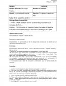 Entrevista sobre el propósito: Reflexiones y análisis personal