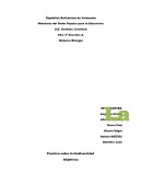 Biodiversida. ¿Qué representa la muestra de control?