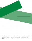 Plan de negocio. Resumen Ejecutivo