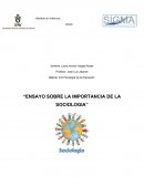 Ensayo de sociologia.