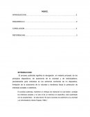 Teoría publicistas del proceso.