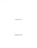 Reflexion de las reglas de la vida pelicula