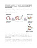 TRAUMATISMO ENCEFALOCRANEANO