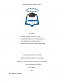 PROGRAMA DE SUBNETTING