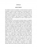 Ensayo papel del contador