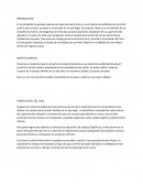 Evaluacion de proyectos. En la actualidad las grandes cadenas de supermercados ofrecen a sus clientes la posibilidad de encontrar todo lo que se busca