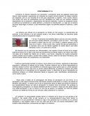 FORO SEMANA 5 Y 6. Comienzo mi artículo indicando que sensación y percepción serán las palabras claves para deducir cada situación