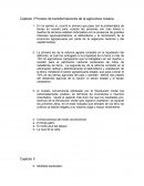 Capitulo I Proceso de transformaciones de la agricultura cubana.