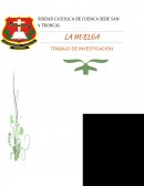 DERECHO LABORAL "LA HUELGA".