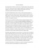 Y nos fuimos a la revolucion