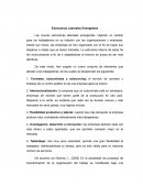 ESTRUCTURAS LABORALES EMERGENTES