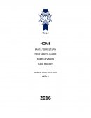 Balotaria de video home