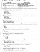 Prueba de ciencias: Célula, función celular y respuesta de las plantas al medio ambiente