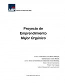 Trabajo Taller de Emprendedores