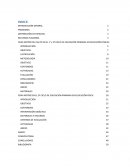 FERIA MOTRIZ EN EL 3º CICLO DE EDUCACIÓN PRIMARIA EN EDUCACIÓN FÍSICA