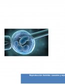 Reproduccion Asistida causales y aspectos legales