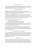 Hormonas. Para que sirven las hormonas