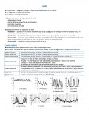 FIEBRE EN PEDIATRÌA