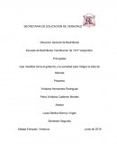 Que medidas toma el gobierno y la sociedad para mitigar la trata de blancas