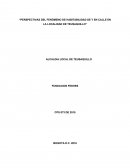 Perspectivas del fenómeno de habitabilidad de y en calle en la localidad de Teusaquillo
