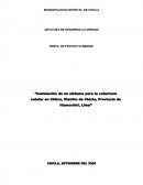 Instalación de un sistema para la cobertura celular en Chilca