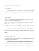 ELEMENTOS PARA A ANÁLISE DUNHA BSO