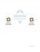 DERECHO PENAL EVIDENCIAS SEGUNDO SEMESTRE