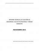 INFORME MENSUAL DE GESTIÓN DE SEGURIDAD, SALUD OCUPACIONAL Y MEDIO AMBIENTE