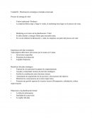 Planificación estratégica orientada al mercado