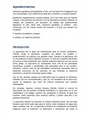 Marco Teórico del Proyecto: Abono reciclado a base de basura orgánica