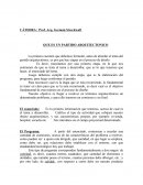 Partido Arquitectónico