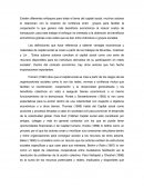 Existen diferentes enfoques para tratar el tema del capital social