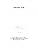 EMPRESA M.P.L MOLDES