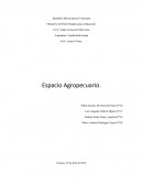 Espacio Agropecuario