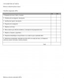 Rúbrica evaluación primer avance