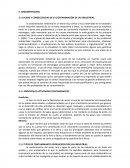 CAUSAS Y CONSECUENCIAS DE LA CONTAMINACIÓN DE LAS INDUSTRIAS.