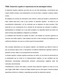 Desarrollo cognitivo e importancia de las estrategias lúdicas.