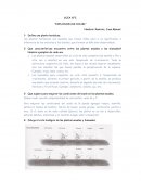 Jardinería explosión de color