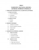 CELEBRACIÓN Y EFECTOS DEL JAQICHAWI o MATRIMONIO, REGÍMENES PATRIMONIALES