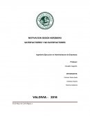 MOTIVACION SEGUN HERBERTZ.