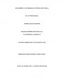 Analisis de pelicula "El señor de las moscas"