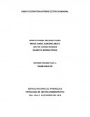 ENSAYO ESTRATEGIAS FERROELÉCTRICOS MUNDIAL