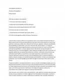Estudios Historiográficos. Alvaro Matute