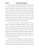 Lamborghini una empresa italiana fabricadora de automóviles modernos