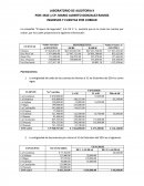 Laboratorio auditoria La compañía “El Apuro de Segundas”, S.A. DE C. V.
