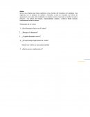 Somos una empresa que busca satisfacer a los amantes del chocolate con paladares muy exigentes