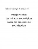 Las miradas sociológicas sobre los procesos de socialización.