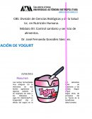 Practica yogurt