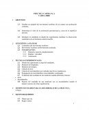 PRÁCTICA CASERA No. 2 CAÍDA LIBRE