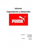 Caso Puma. Capacitación y Desarrollo